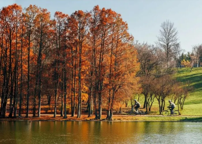 Urban Park *